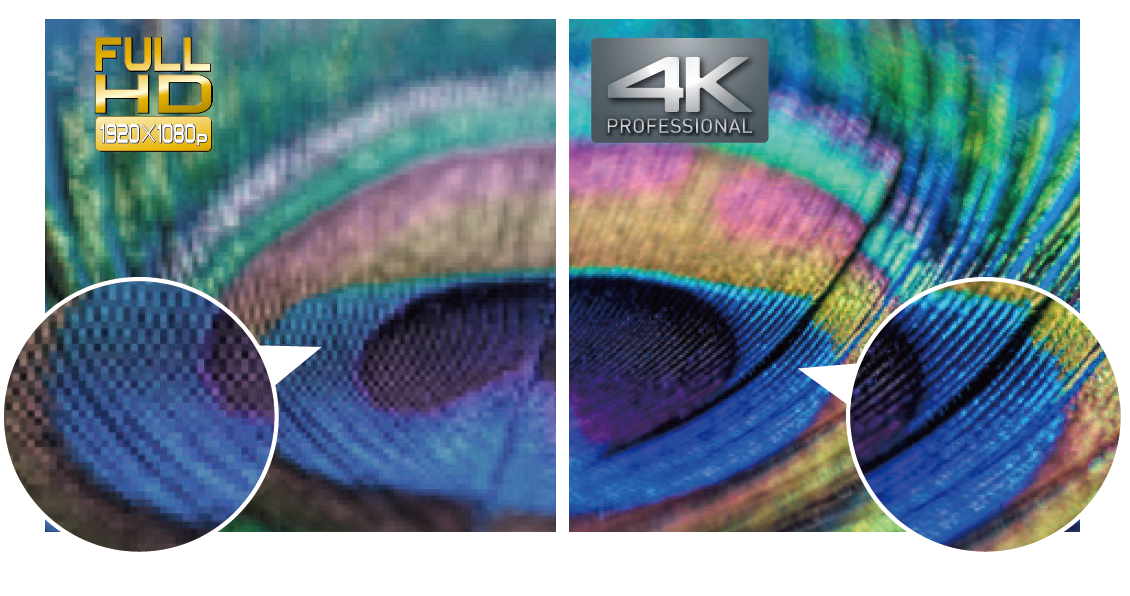 郡徽信息 郡徽信息